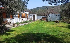 Zephyr Guest House