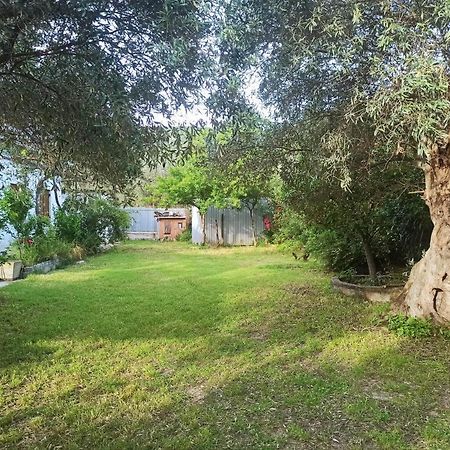 Zephyr Guest House Λεφόκαστρο Εξωτερικό φωτογραφία