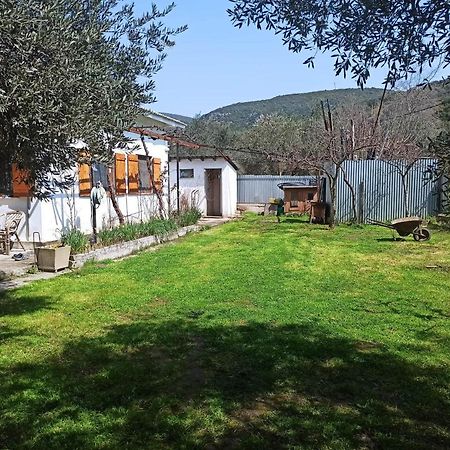 Zephyr Guest House Λεφόκαστρο Εξωτερικό φωτογραφία