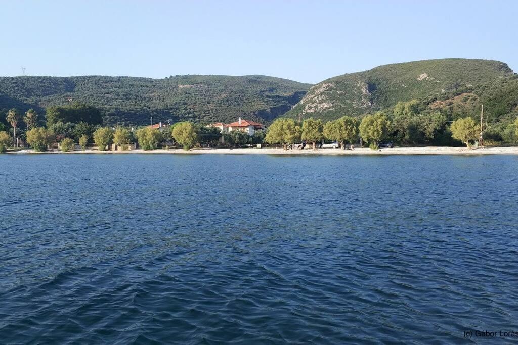 Zephyr Guest House Λεφόκαστρο Εξωτερικό φωτογραφία