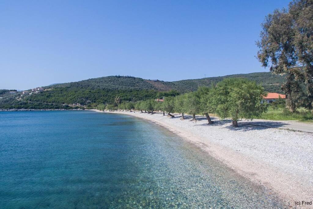 Zephyr Guest House Λεφόκαστρο Εξωτερικό φωτογραφία