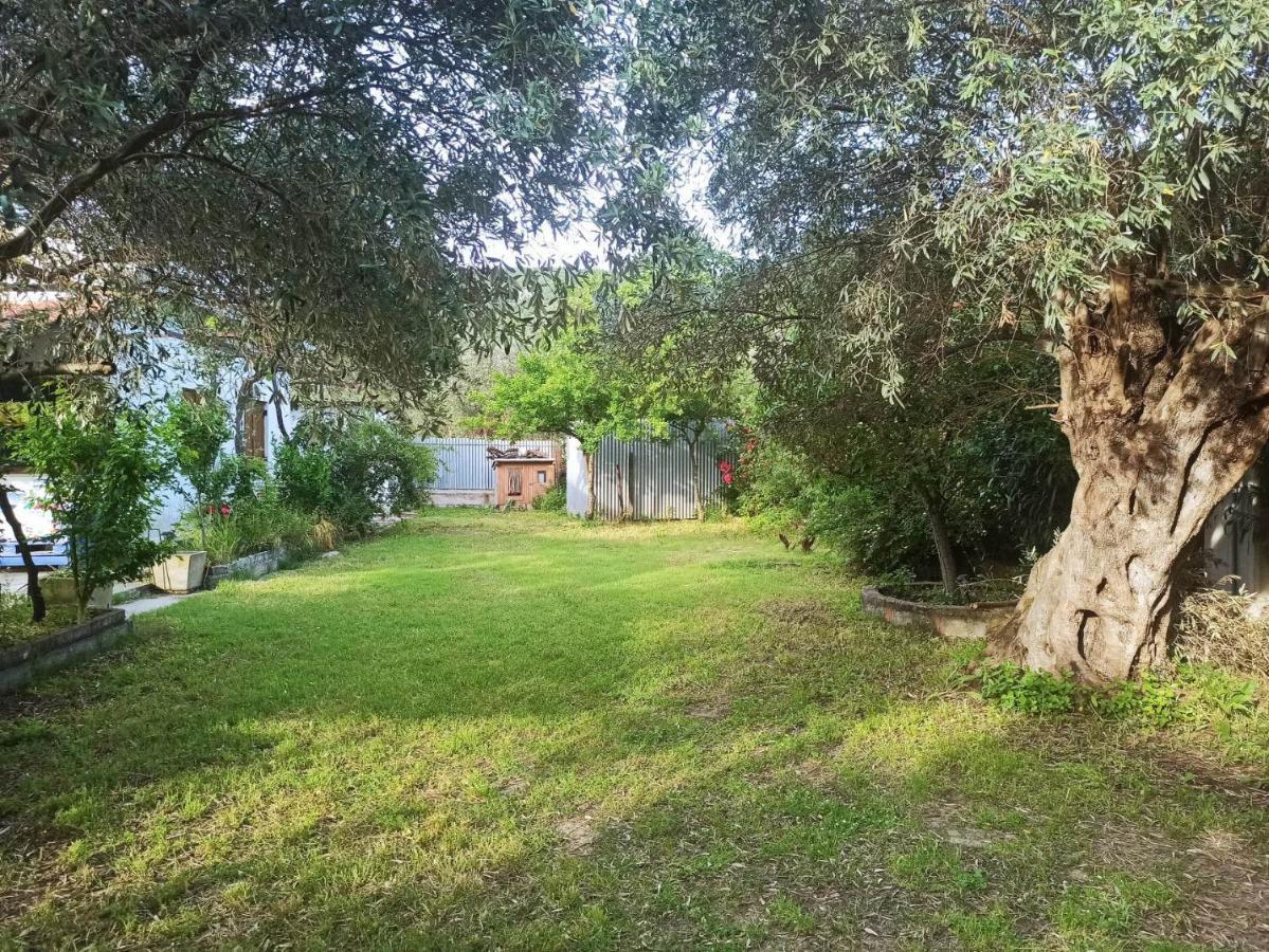 Zephyr Guest House Λεφόκαστρο Εξωτερικό φωτογραφία