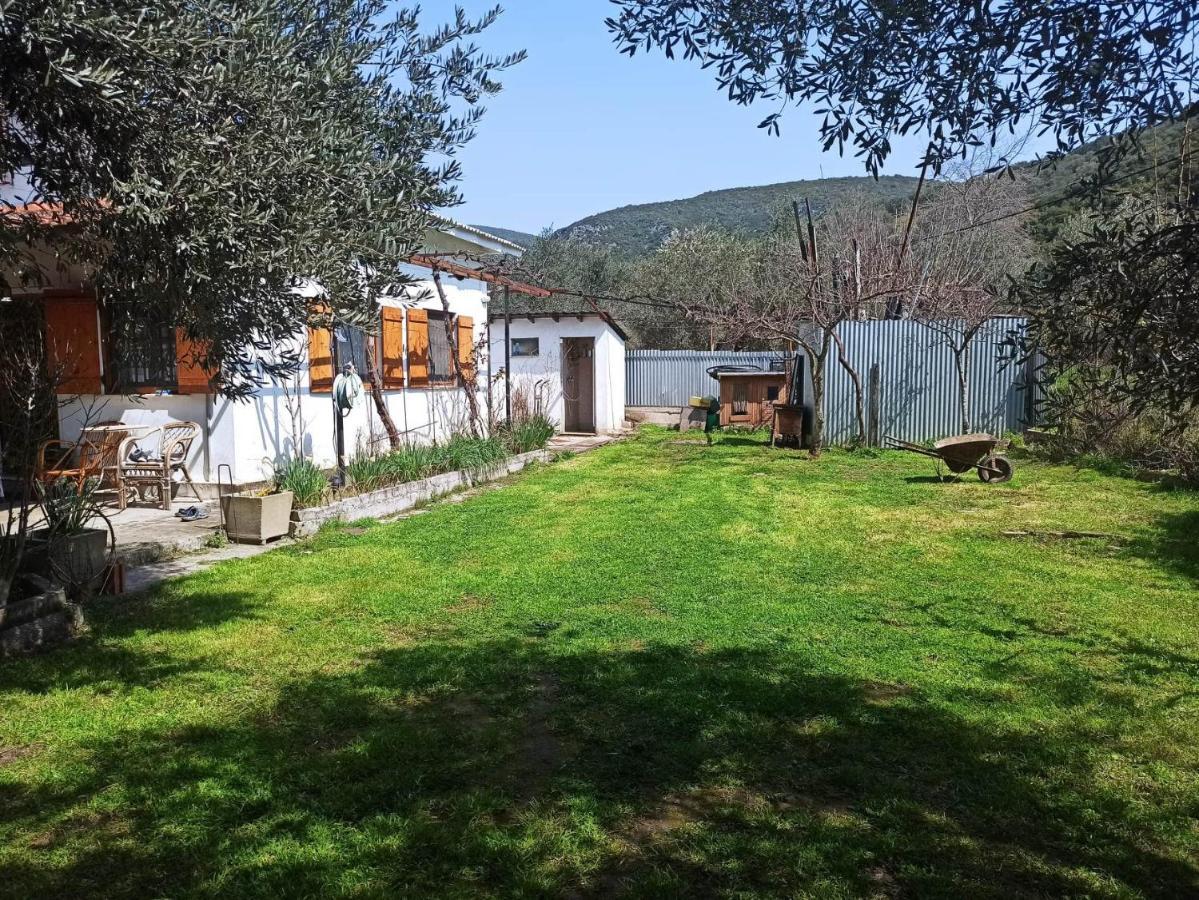 Zephyr Guest House Λεφόκαστρο Εξωτερικό φωτογραφία