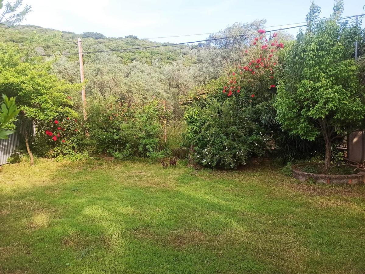 Zephyr Guest House Λεφόκαστρο Εξωτερικό φωτογραφία