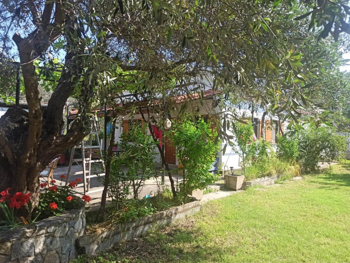 Zephyr Guest House Λεφόκαστρο Εξωτερικό φωτογραφία