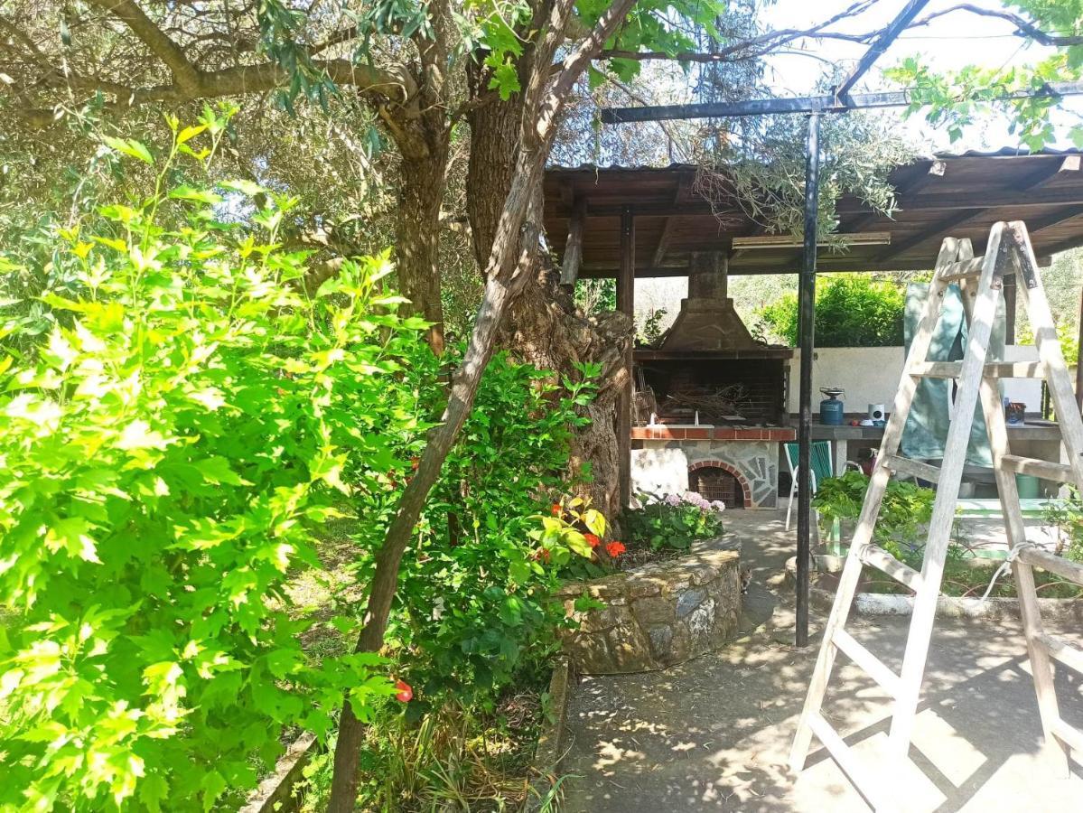 Zephyr Guest House Λεφόκαστρο Εξωτερικό φωτογραφία